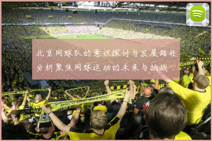 北京网球队的意识探讨与发展路径分析聚焦网球运动的未来与挑战