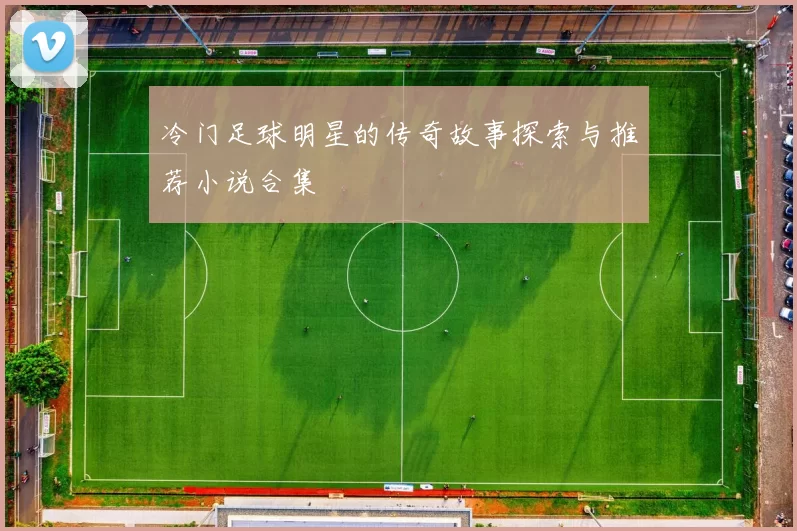 冷门足球明星的传奇故事探索与推荐小说合集