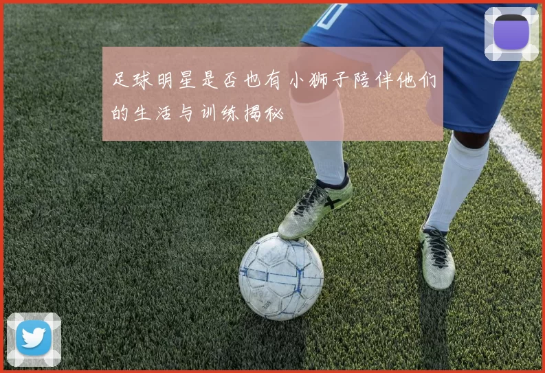 足球明星是否也有小狮子陪伴他们的生活与训练揭秘