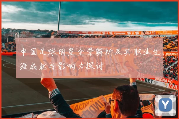 中国足球明星全景解析及其职业生涯成就与影响力探讨