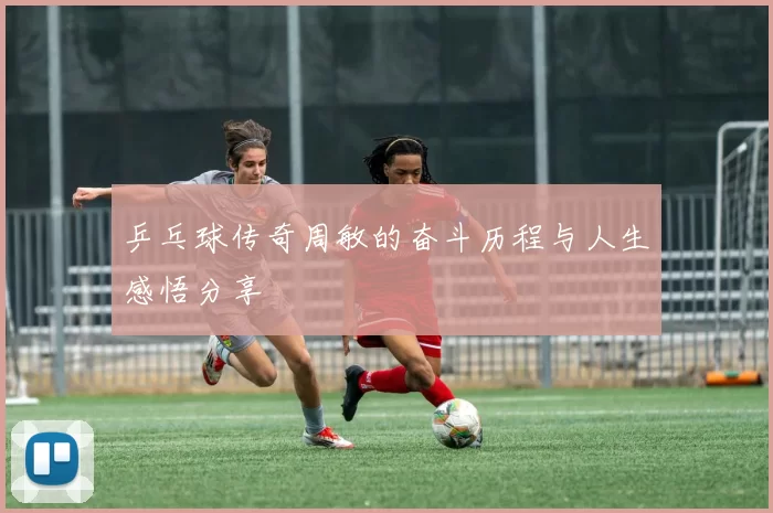 乒乓球传奇周敏的奋斗历程与人生感悟分享
