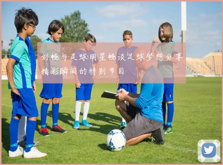 刘畅与足球明星畅谈足球梦想分享精彩瞬间的特别节目
