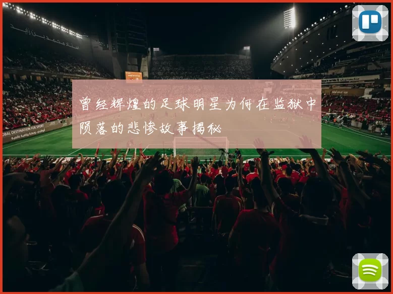 曾经辉煌的足球明星为何在监狱中陨落的悲惨故事揭秘