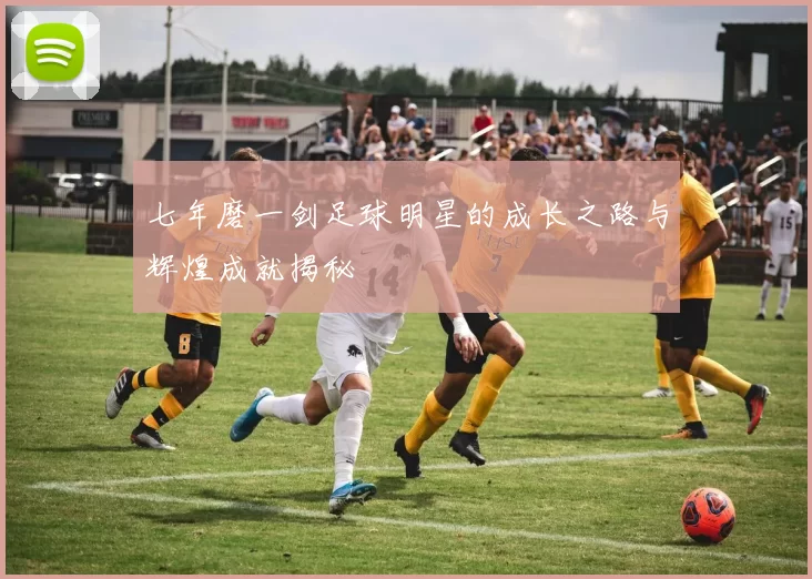 七年磨一剑足球明星的成长之路与辉煌成就揭秘