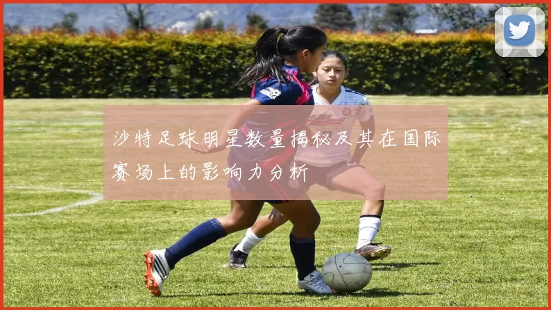 沙特足球明星数量揭秘及其在国际赛场上的影响力分析
