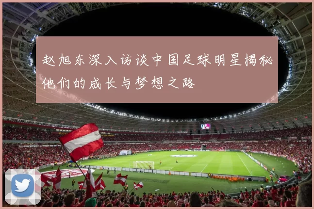 赵旭东深入访谈中国足球明星揭秘他们的成长与梦想之路