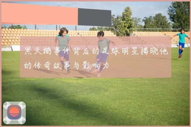 黑天鹅事件背后的足球明星揭晓他的传奇故事与影响力